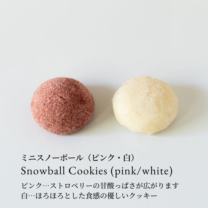 〈i plant.〉 Vegan Cookie Assortment Tin