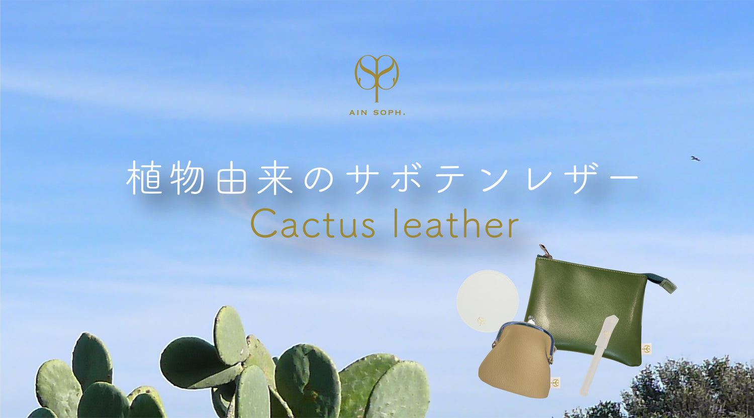 サボテンレザーアイテム