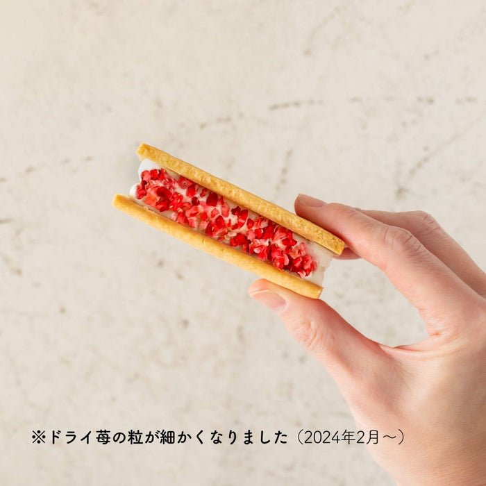 苺のソイチーズサンド&レーズンサンドセット — AIN SOPH.