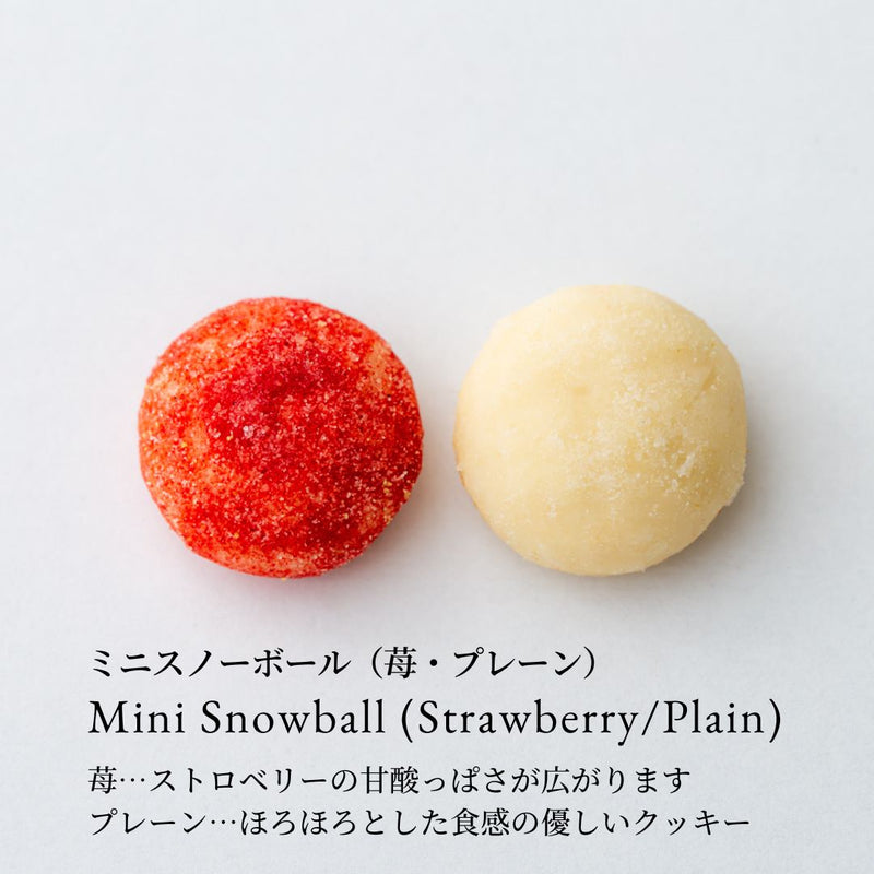 AIN SOPH.ヴィーガンクッキーアソート缶