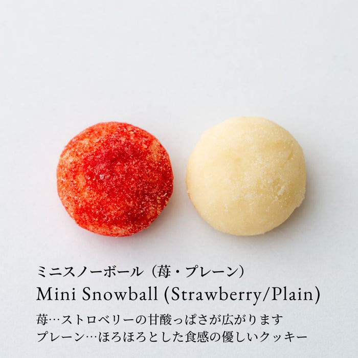 AIN SOPH.ヴィーガンクッキーアソート缶